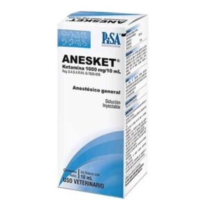 Buy Anesket 1000mg/10ml Injection Online