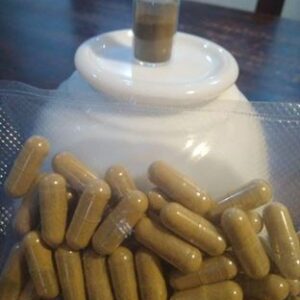 Buy Ibogaine Capsules Online