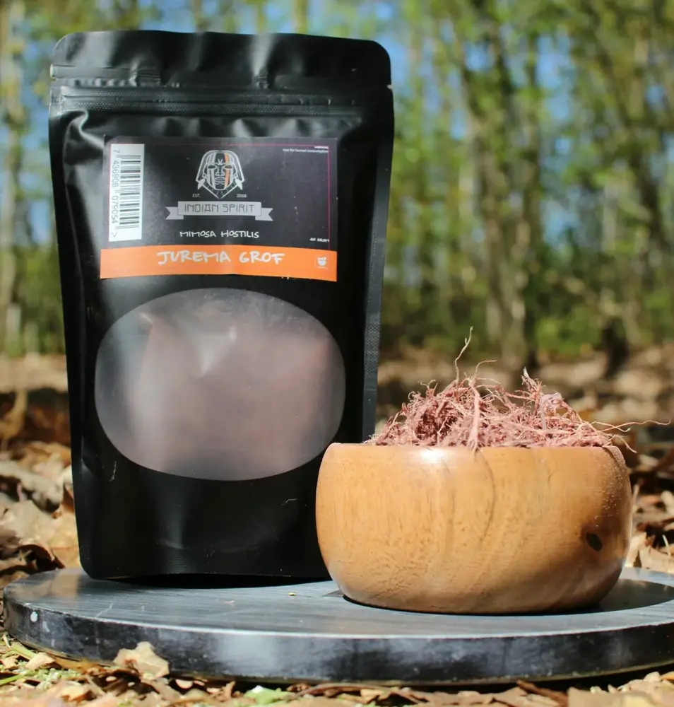 buy mimosa hostilis online
