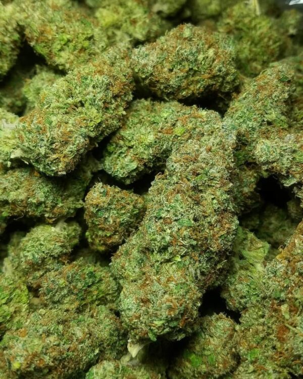 buy green crack strain online