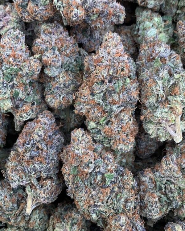 buy italian ice strain online