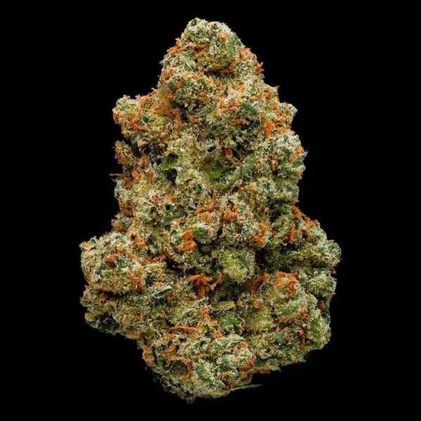 jack herer