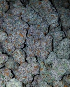 Buy Super Silver Haze Strain Online