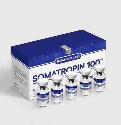 Buy HGH Somatropin Powder 100 IU Marten