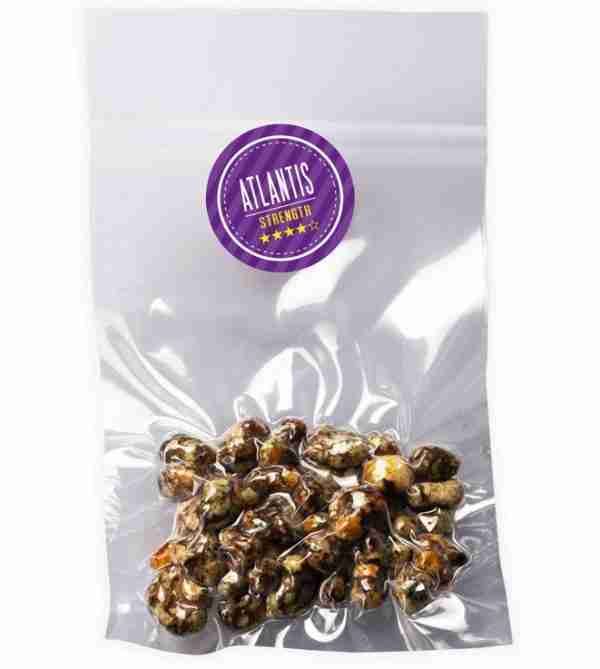 Buy Magic Truffles Psilocybe Atlantis Online - Image 2