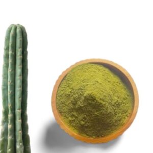 Buy San Pedro Powder Online: Premium San Pedro Powder for Psychoactive and Botanical Research