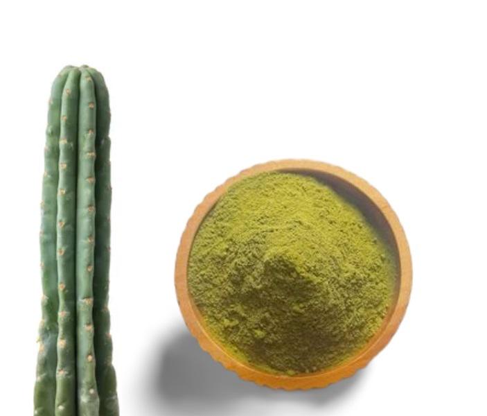 buy san pedro powder online: premium san pedro powder for psychoactive and botanical research