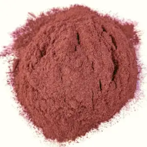 Buy Mimosa Hostilis (Inner Root Bark Powder) Online: Premium Powder from Mimosa Hostilis