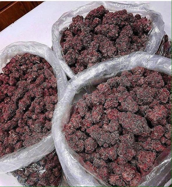 Buy Bubble Gum X2 Strain Online