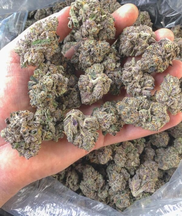 Buy Cannalope Haze Strain Online