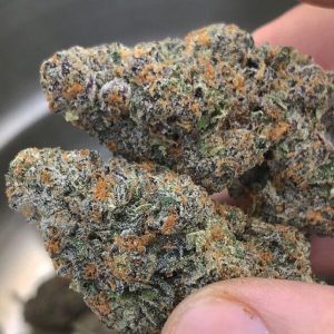 Buy Grand Daddy Purple Strain Online