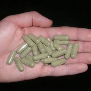 Buy Mescaline Capsules Online