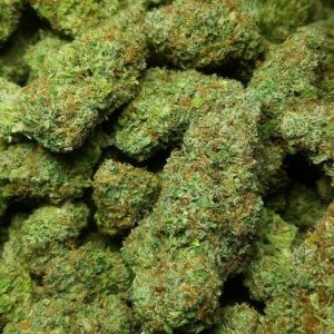 Buy Green Crack Strain Online