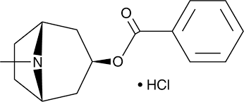 Buy Tropacocaine HCl - Image 2